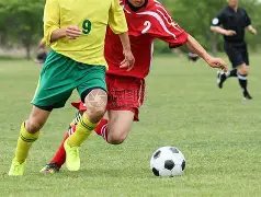 乔迪告别浙,江队,四年执教生,爱游戏app,爱游戏官网,爱游戏体育官网,爱游戏体育app